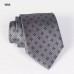 Wensli Men's Silk Tie W series